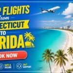 Cheap Flights from Connecticut to Florida Open banner options